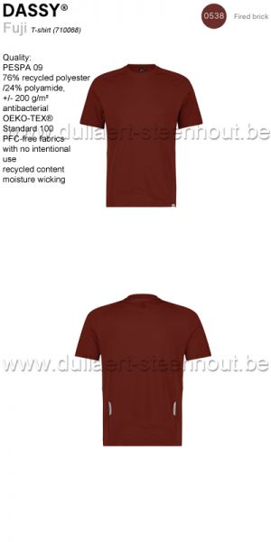 DASSY® Fuji (710068) T-shirt - ROUGE BRIQUE