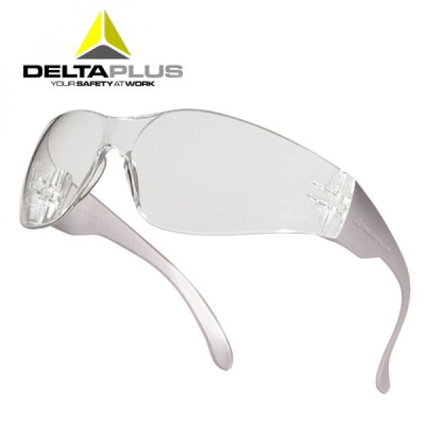 Deltaplus Brava2 clear Lunettes polycarbonate monobloc