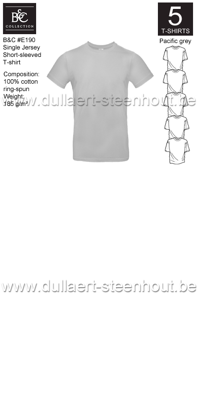 PROMOPACK B&C E190 - 5 T-shirts / Pacific grey